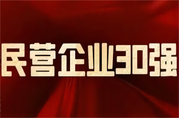 南阳民营企业及制造业30强榜单发布，乐竞平台集团荣登前三